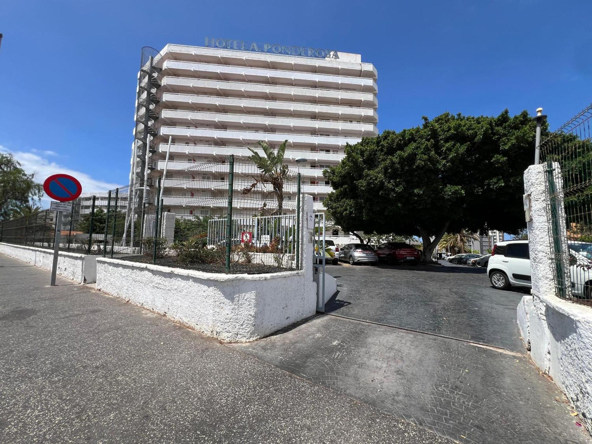 Tenerife Sea View 216 Playa Feñabe Dış mekan fotoğraf